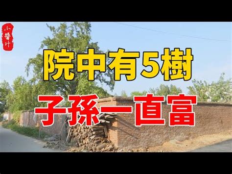 後院種什麼樹|【後院種什麼樹】後院種樹的風水大揭秘：選擇適宜樹種打造居家。